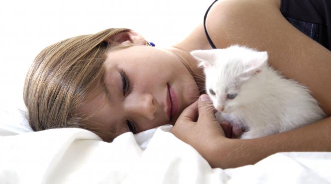 8 rase longevive pisici blande iubitoare inteligente