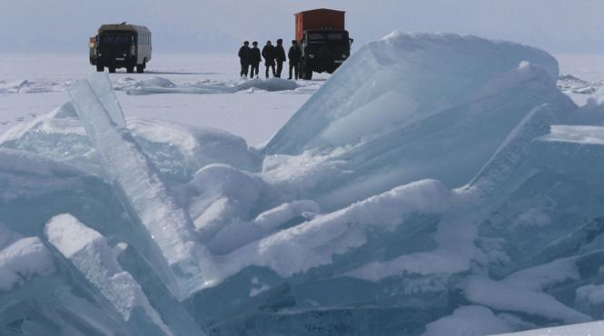 fiinta preistorica readusa viata supravietuit 46 000 ani siberia