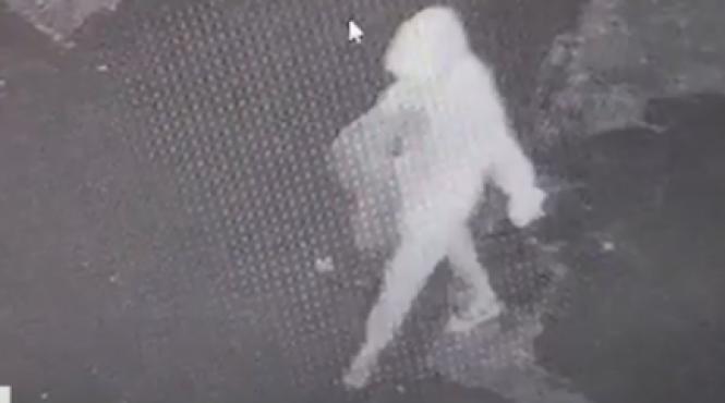 imagini criminala cara valiza victima parc crima mangalia