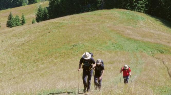 performanta doi tineri probleme vedere parcurs via transilvanica ghidati sunete mirosuri