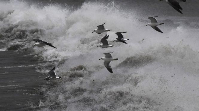 stare urgenta orientul indepartat rus taifun khanun