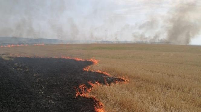 incendiu vegetatie ars