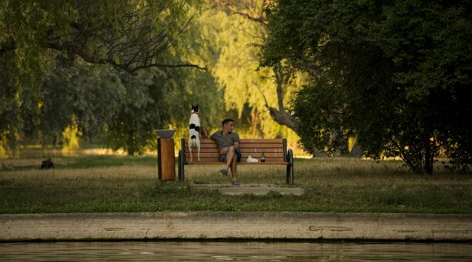 val puternic canicula bucuresti toata saptamana