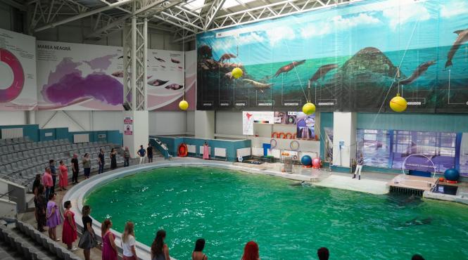 madrigal recital delfinariu conastanta delfinii raspuns artistilor