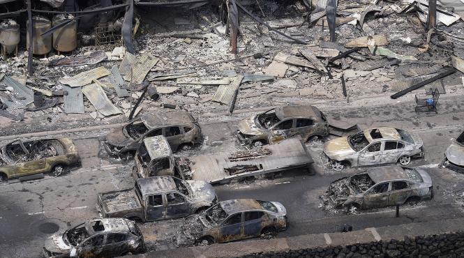 victime incendiu maui identificate dentisti medici antroologi