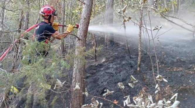 misiuni pompieri franta