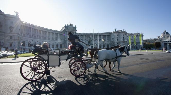 austria transport public gratuit un an tatuaj numele abonamentului