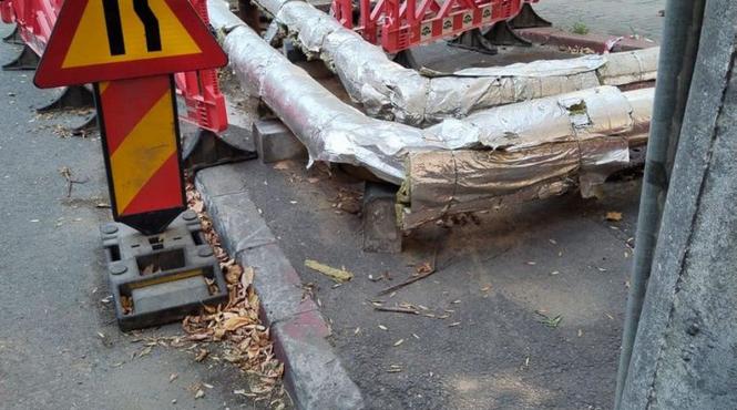 nicusor dan termoficare