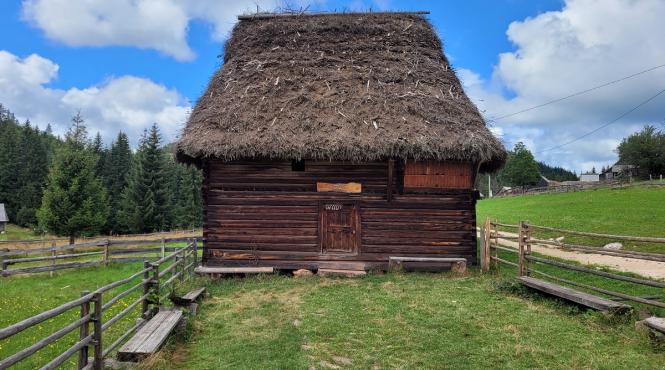 noaptea muzeelor sate