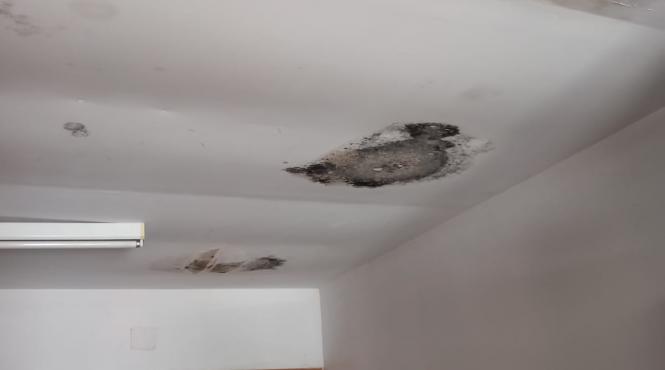 camine copii focare mizerie mucegai giurgiu