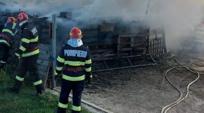 pasari arse incendiu urias ferma tulcea