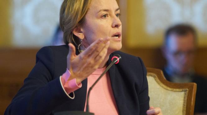 cosette chichirau demisie usr senator pnl george simion