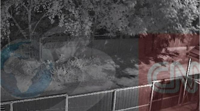 drone rusia nufaru tulcea mapn