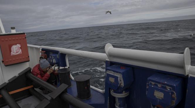 nava croaziera peste 200 persoane bord groenlanda