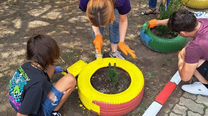 scoli darapanate minune salcioara