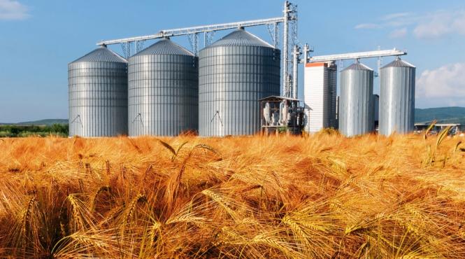 ministrul agriculturii expirare interdictie importuri cereale ucrainene