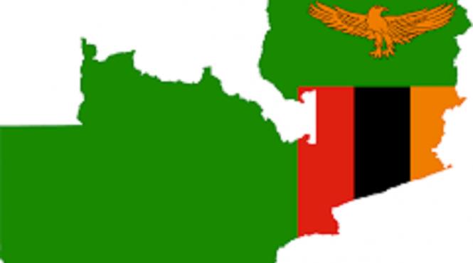 descoperire fara precedent zambia structura lemn aproape jumatate milion ani