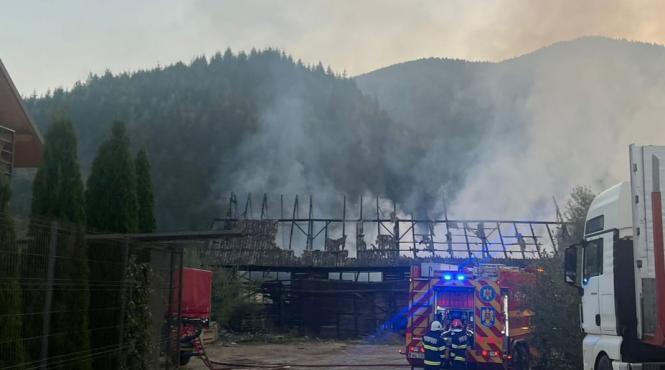 incendiu hala gater vama judetul suceava