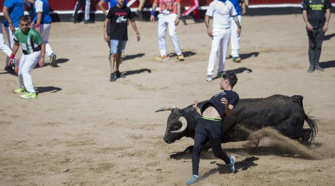 ucis taur festival spaniol