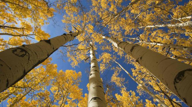 prognoza meteo sfarsit luna septembrie director anm