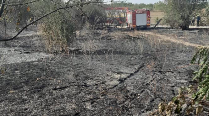 mesaj ro alert sintesti comuna vidra ilfov incendiu vegetatie