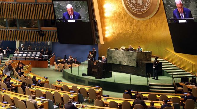 laura maria craciuneanu tatu presedinte comitetul onu drepturile economice sociale culturale