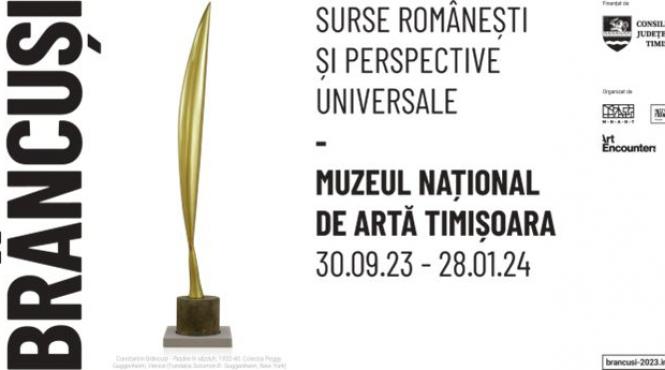 brancusi surse romanesti si perspective universale prima expozitie a artistului in tara sa natala dupa mai bine de 50 de ani se deschide publicului larg la timisoara pe 30 septembrie
