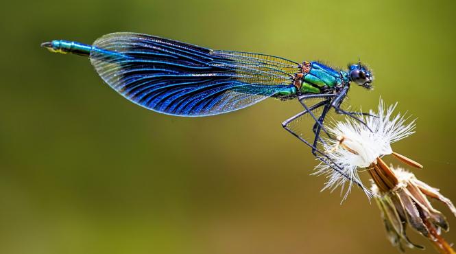 noaptea cercetatorilor europeni