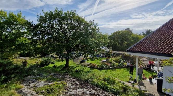 norvegia comoara gasita familie cercel