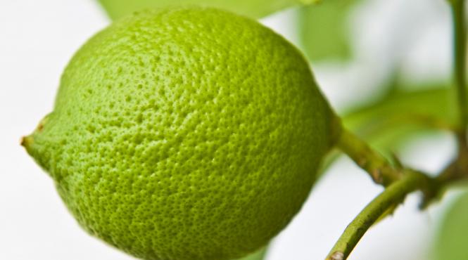 sfaturi chirurg plastician piele tanara 7 fructe legume