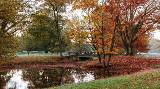 de sanchi origini expresii