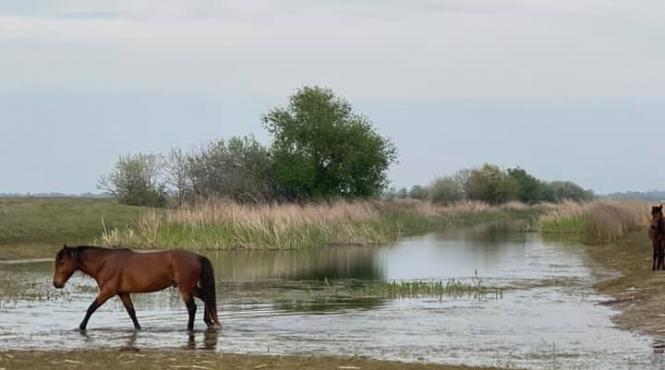 5 locuri minunate romania vizitezi toamna