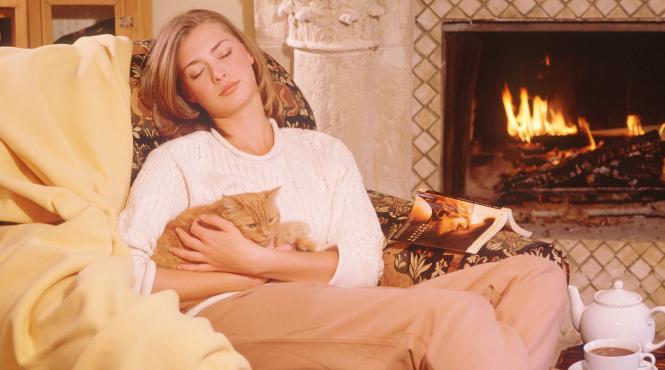 5 cele mai afectuoase rase pisici relaxate sociabile jucause devotate