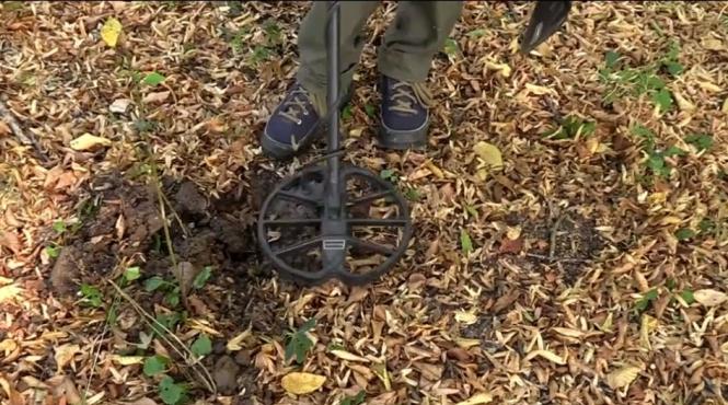 un loc din romania atrage cautatorii de comori