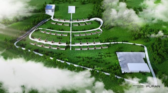 studii superioare educatia profesionala