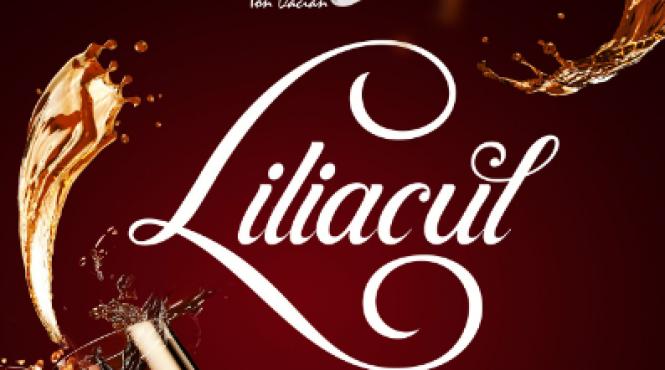 liliacul pierdute sunt doar zilele in care ne a lipsit bucuria in premiera pe scena teatrului national de opereta si musical ion dacian