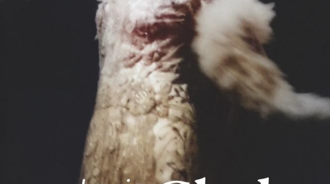 festivalul national de teatru clody bertola 110 27 octombrie 11 00 arcub sala mare