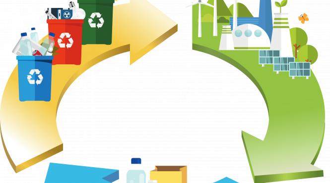 alice nichita asociatia producatori bauturi racoritoare sustenabilitate noul sistem garantie returnare