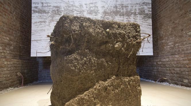 lost signal interventii miki velciov