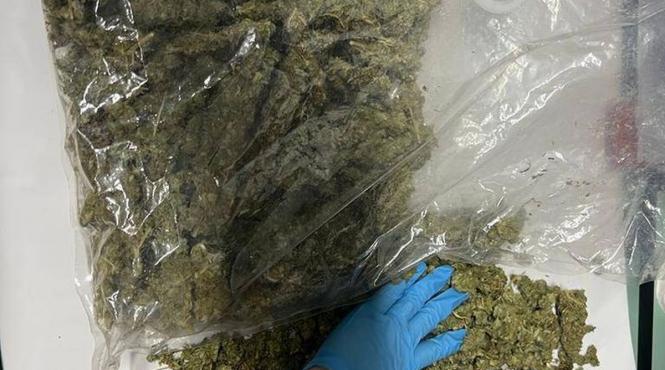 canabis cainele athos