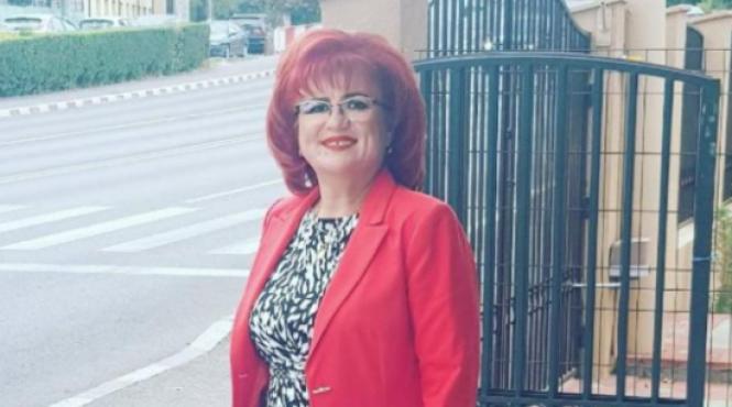 scoala ring box partide politice