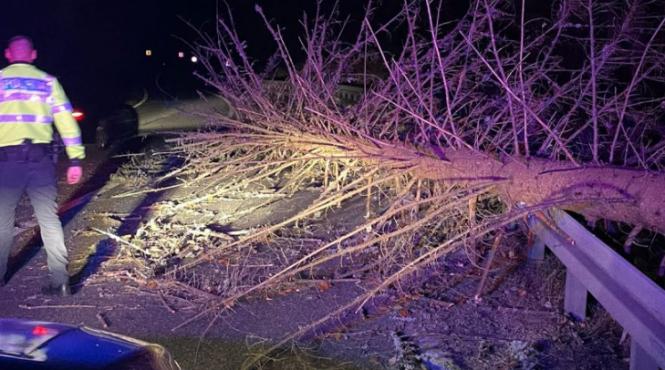 mai multi copaci au cazut pe un drum national din judetul vrancea