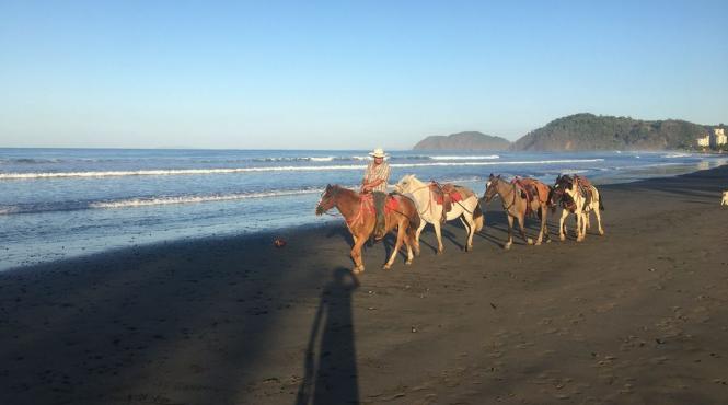 costa rica agricultura turism