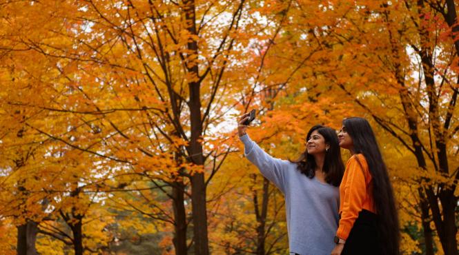 temperaturi extrem ridicate noiembrie 2023 ploi exces