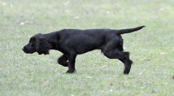 locatari strans semnaturi familie arunce catel apartament alba iulia cocker plateste intretinere