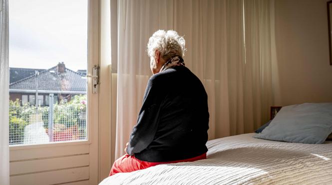 creste punct pensie 240 lei data intra vigoare majorare