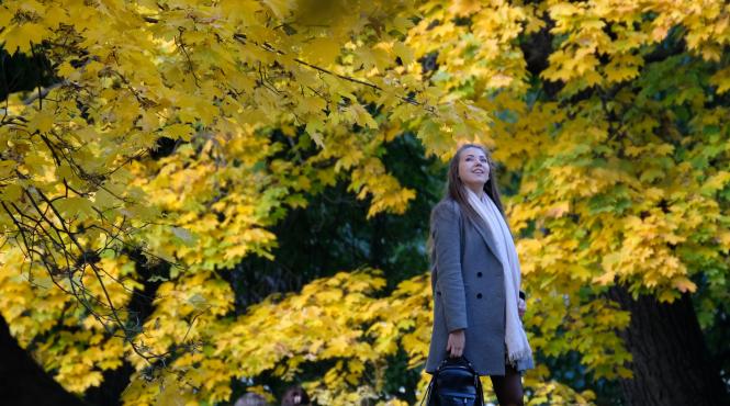 horoscop zilnic 3 noiembrie 2023