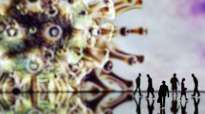 bolile zoonotice vor ucide 12 ori mai multi oameni pana 2050