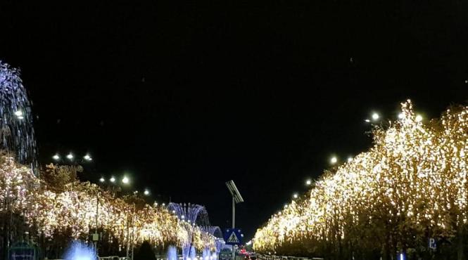 nicusor dan montarea decoratiunilor craciun strazi capitala