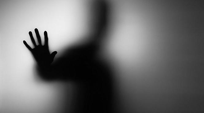 politie pradatori sexuali invatamant spitale